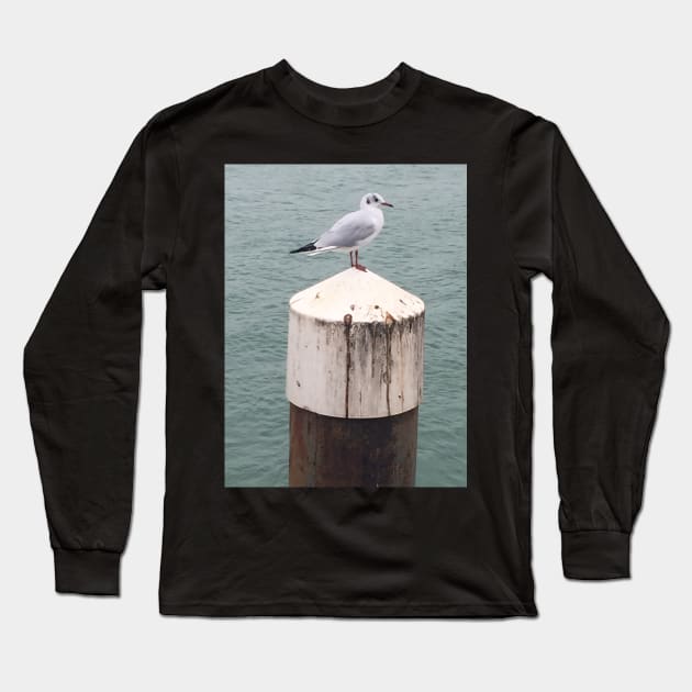 Seagulls by the Sea searching for Fish and Chips Long Sleeve T-Shirt by Bucklandcrafts